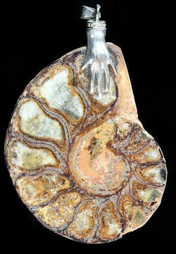 Moroccan Ammonite Fossil Pendant #58377
